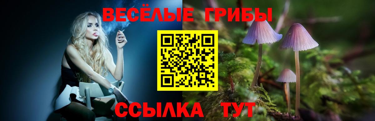 Галлюциногенные грибы Psilocybine cubensis  Вход с VPN  Касимов 